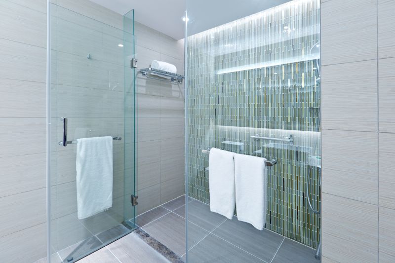 Glass Shower Door